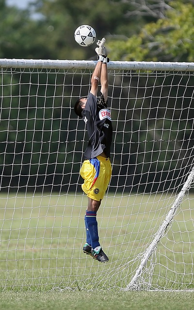 展現出的不 展現出的不