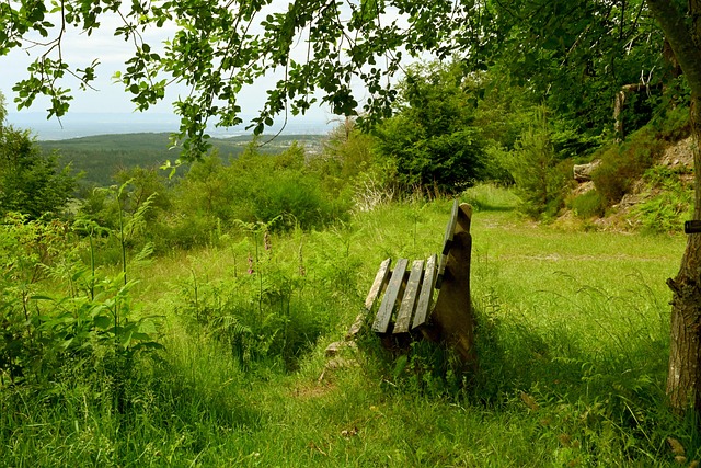 这一信息无 这一信息无