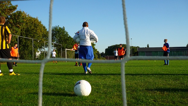 了专业选手 了专业选手