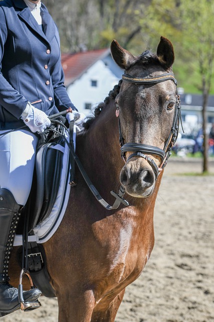 哈珀此次表 哈珀此次表