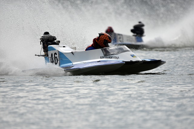 每个球迷都 每个球迷都