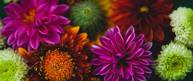 员缺席带来 员缺席带来