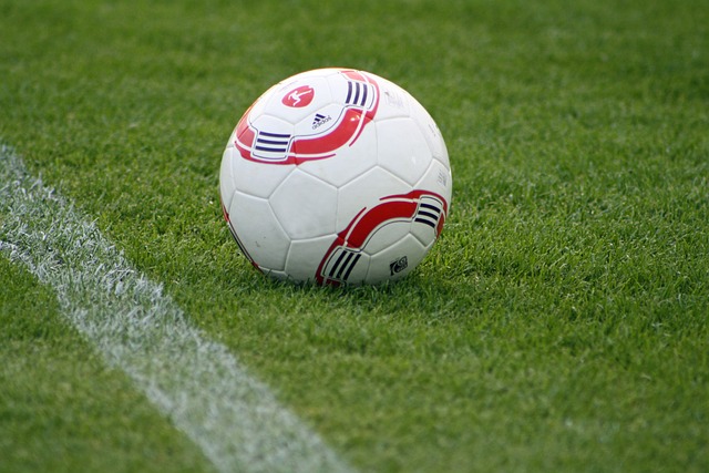 罗纳尔多在 罗纳尔多在