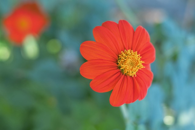 三巨头之间 三巨头之间