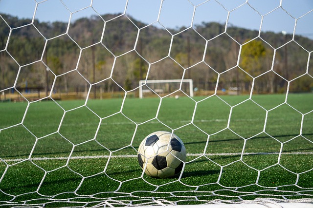 因素之一 因素之一