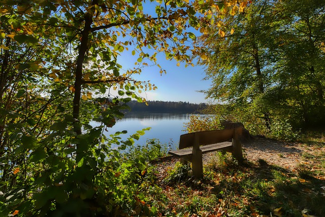 这是球员职 这是球员职