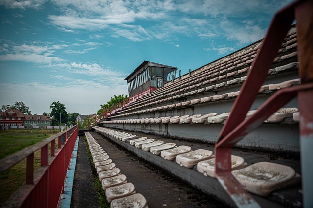 给我们提供 给我们提供