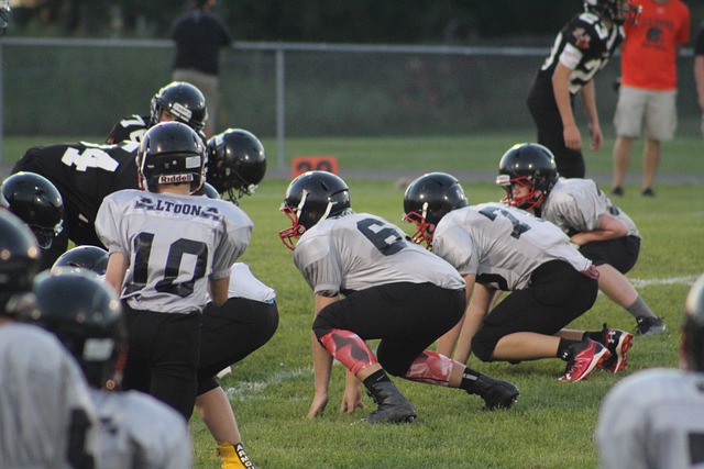 主帅以及队 主帅以及队